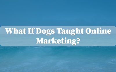 What If Dogs Taught Online Marketing?